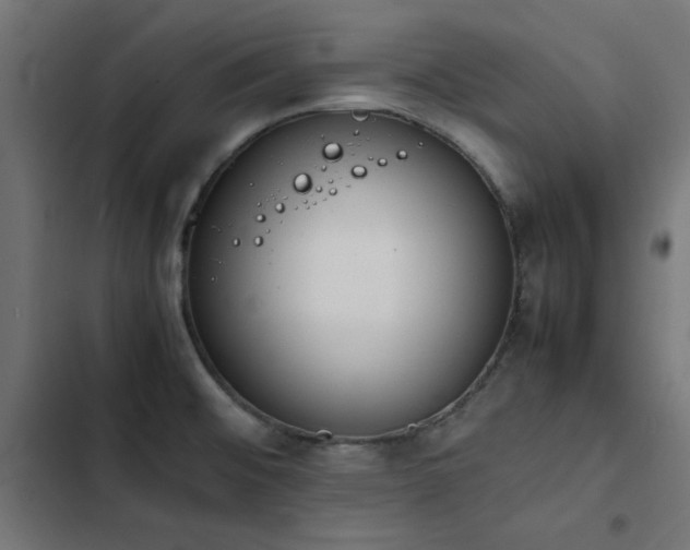 X0000103451476200809121415
