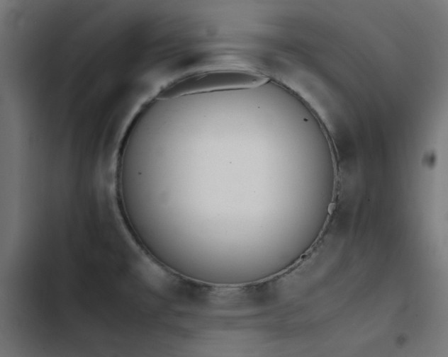 X0000103451477200809121415