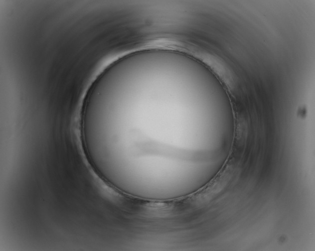 X0000103451478200809121415