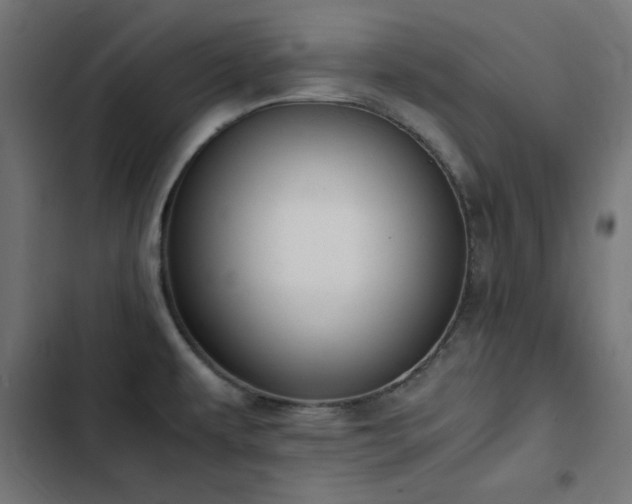 X0000103451479200809121415