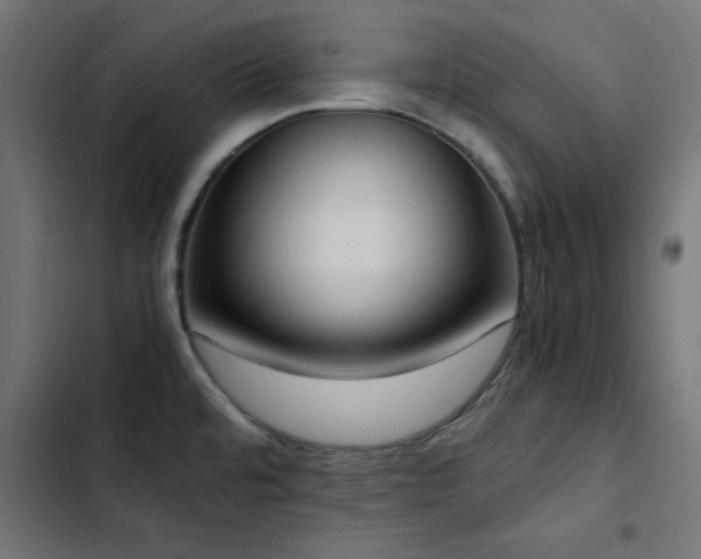 X0000103451480200809121415