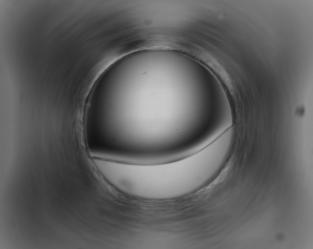 X0000103451481200809121415