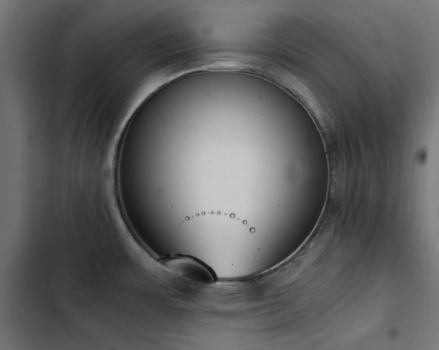 X0000103451483200809121415