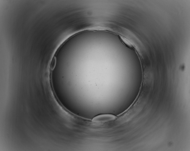 X0000103451484200809121415