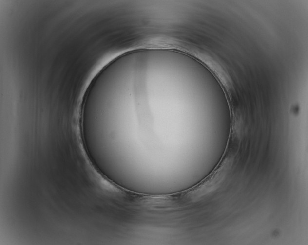 X0000103451486200809121415