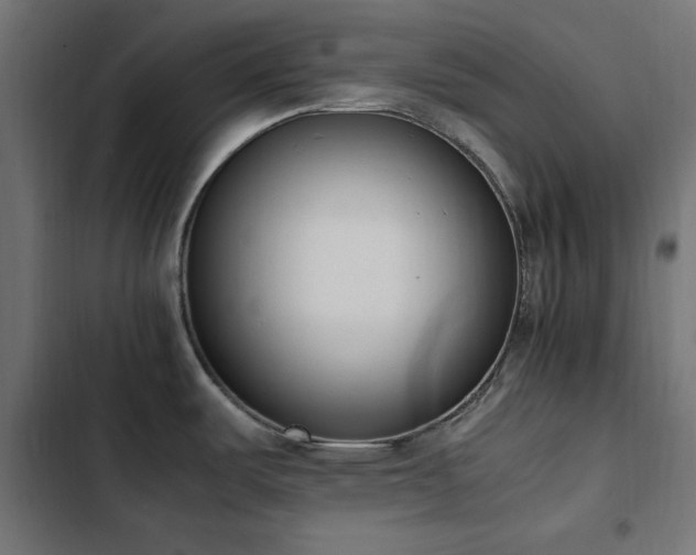 X0000103451487200809121415