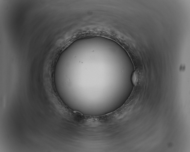 X0000103451489200809121414