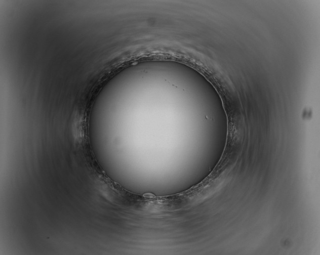 X0000103451490200809121414