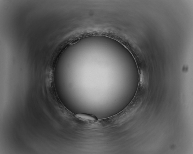 X0000103451492200809121414