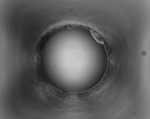 X0000103451495200809121414