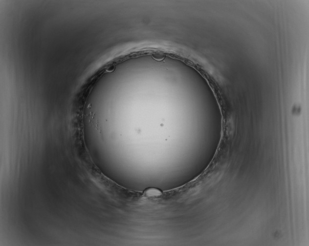 X0000103451496200809121414