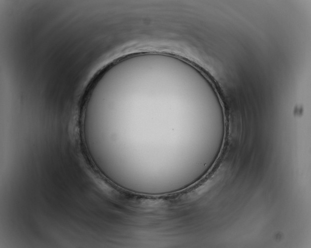 X0000103451498200809121414