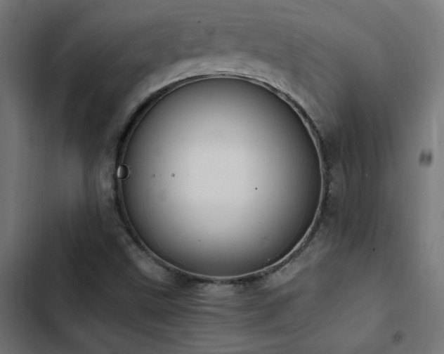 X0000103451499200809121414