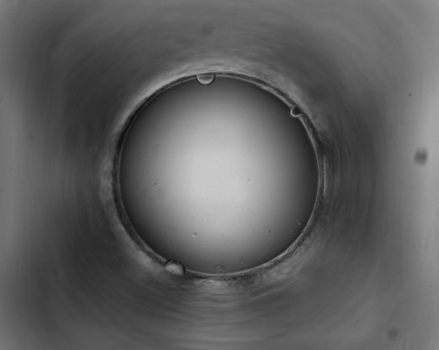 X0000103451500200809121414