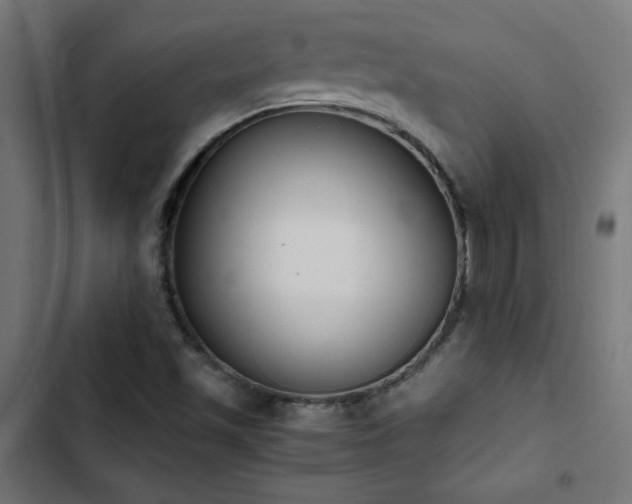 X0000103451501200809121414
