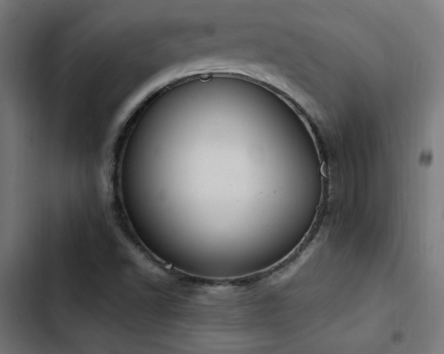 X0000103451502200809121414