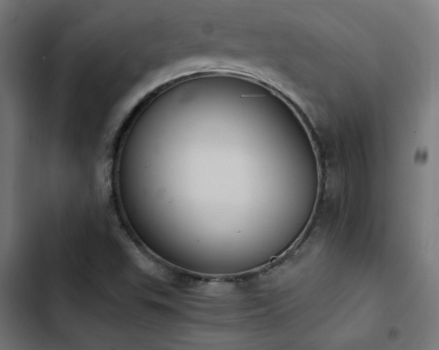 X0000103451503200809121414