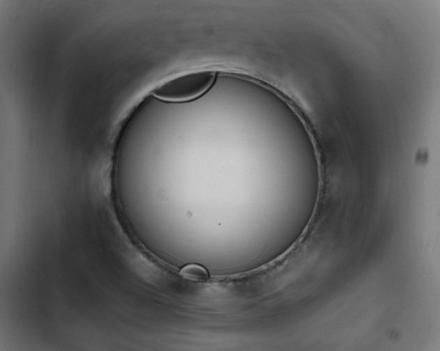 X0000103451504200809121414