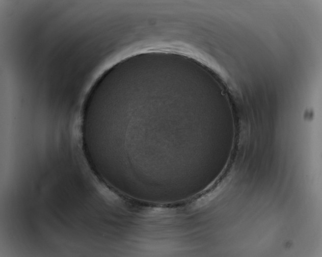 X0000103451506200809121415