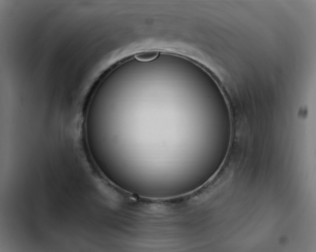 X0000103451507200809121415