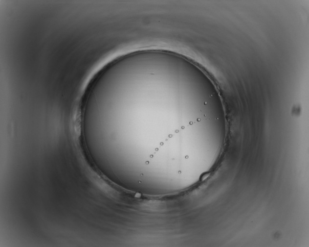 X0000103451510200809121415