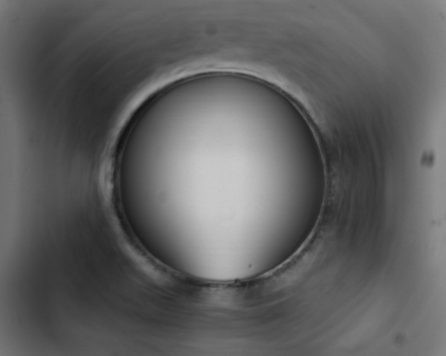 X0000103451511200809121415
