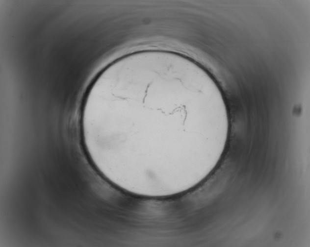 X0000103451514200809121415