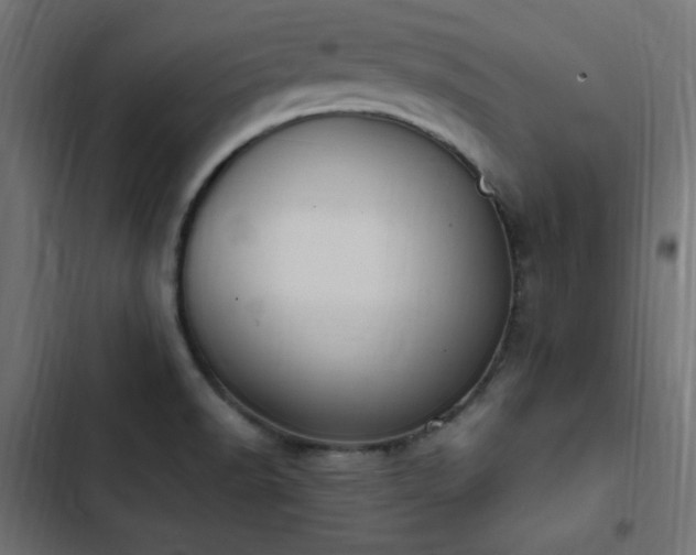 X0000103451518200809121415