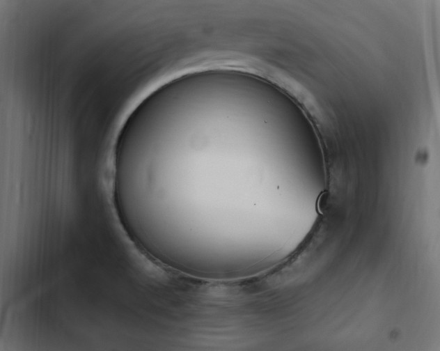 X0000103451520200809121415