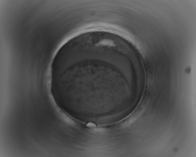 X0000103451522200809121415