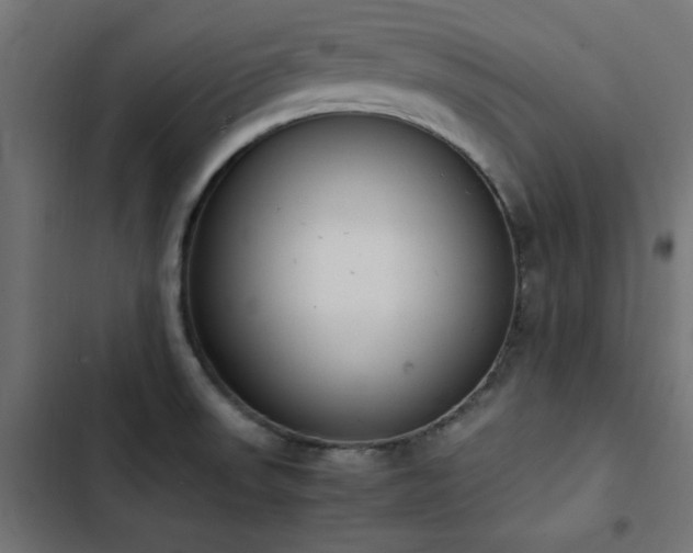 X0000103451523200809121415