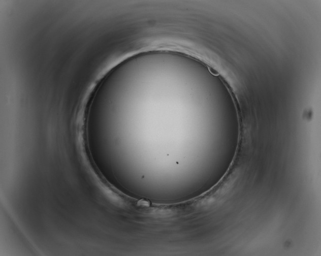 X0000103451525200809121415
