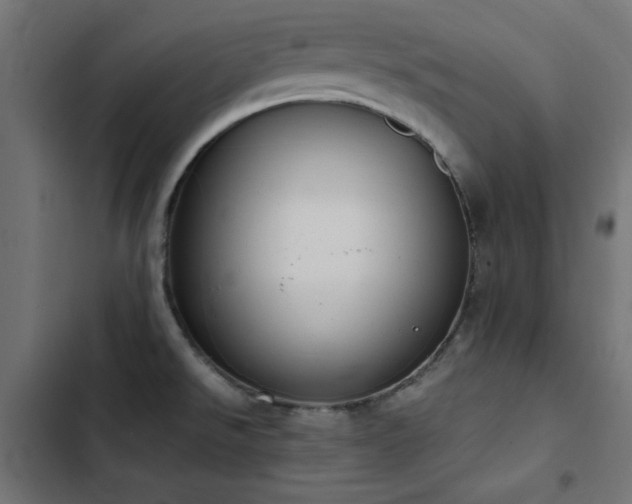 X0000103451526200809121415