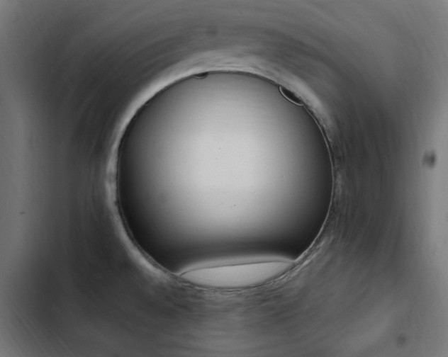 X0000103451528200809121415