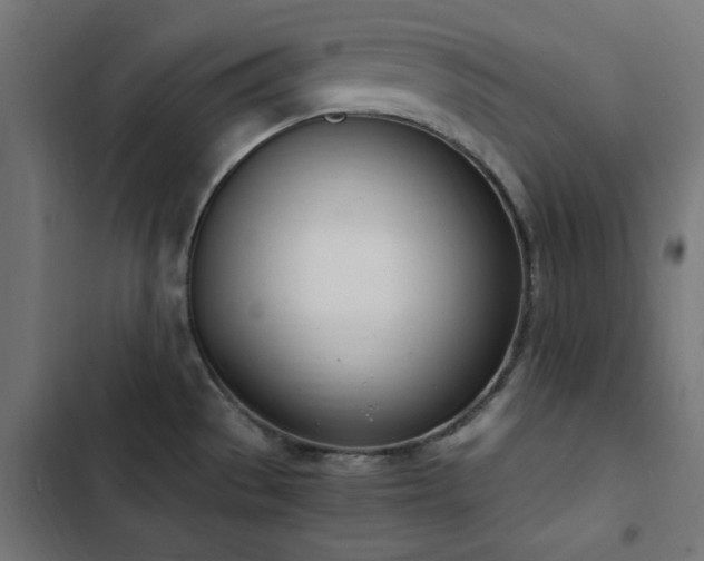 X0000103451529200809121415