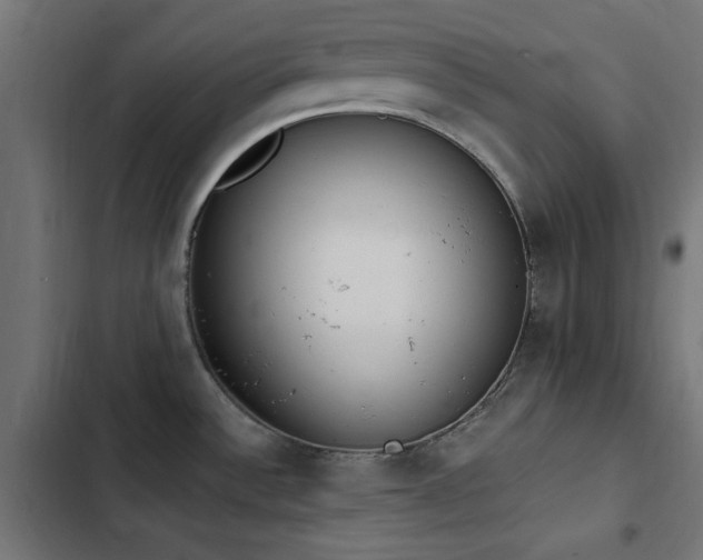 X0000103451532200809121415