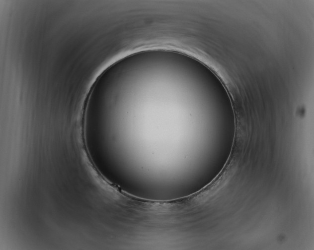 X0000103451534200809121415