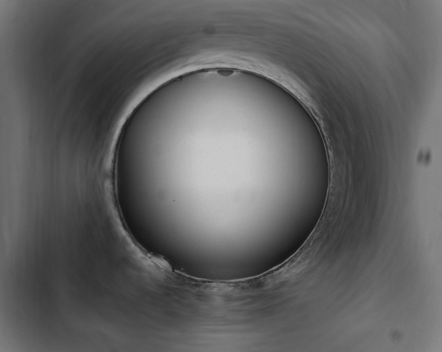 X0000103451536200809121415