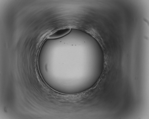 X0000103450001200809191759