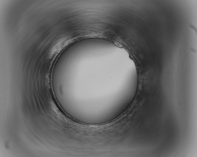 X0000103450002200809191759