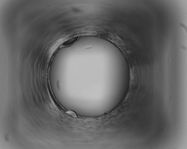 X0000103450003200809191759