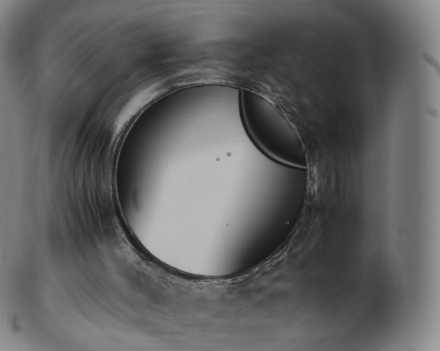 X0000103450004200809191759