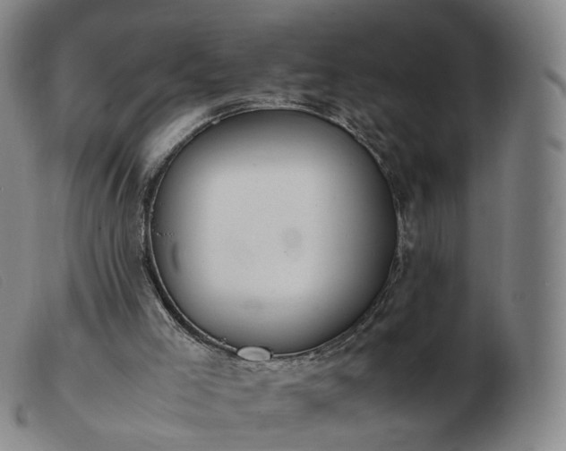 X0000103450005200809191759