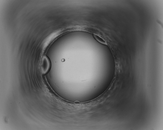 X0000103450006200809191759