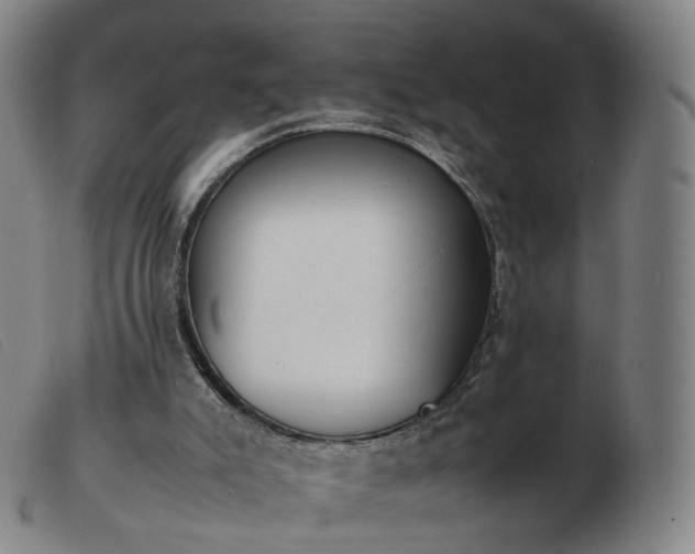 X0000103450007200809191759