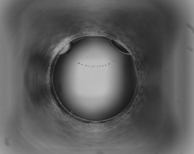 X0000103450008200809191759