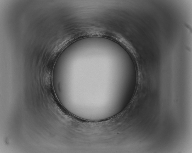 X0000103450009200809191759