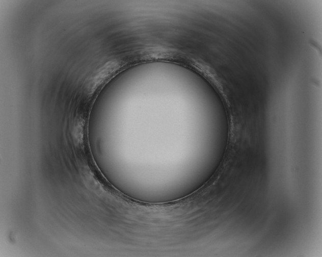 X0000103450010200809191759