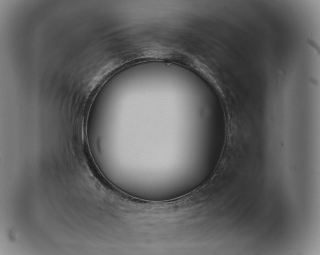 X0000103450011200809191759