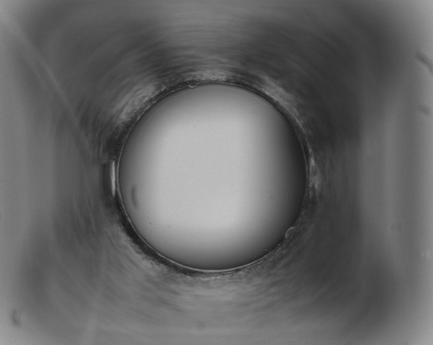 X0000103450013200809191759